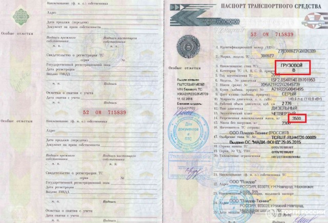 Торопыга