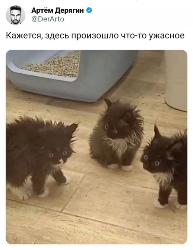 Так себе картинки 30.04.24
