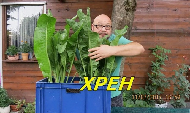 Новый год в студенческой общаге...
