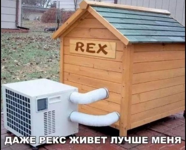 Картинки разные с надписями и без