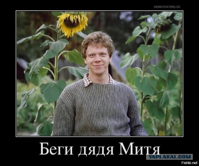 Именно ради этого и были созданы нейросети