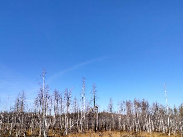 Осень на озёрах 2