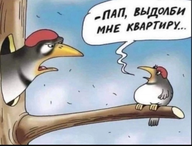 Так себе картинки 04.07.25