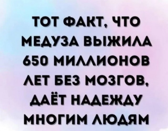 Так себе картинки 09.07.25