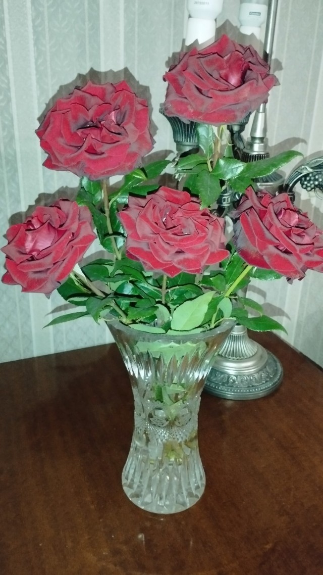Роза-брюква