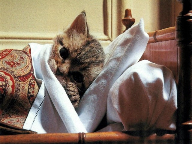 Россияне массово заболевают