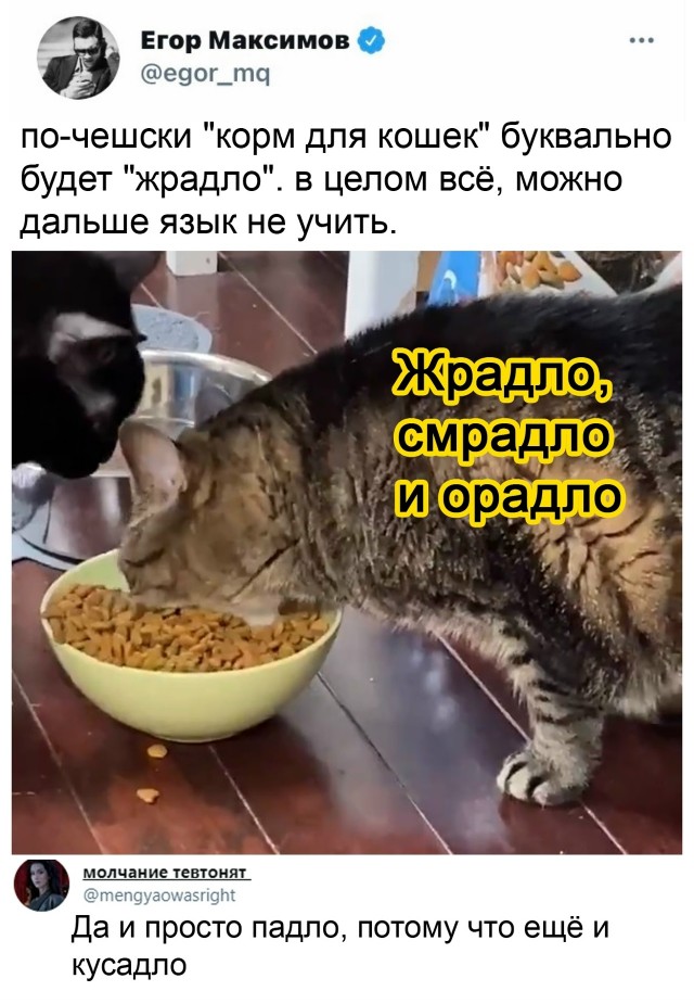 Так себе картинки 17.09.25