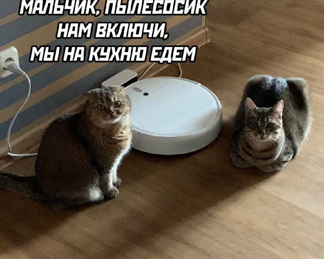 У меня проездной