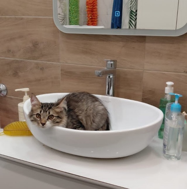 За секунду до...