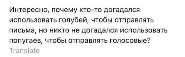 Картинки для деградации 141 (разной степени свежести)