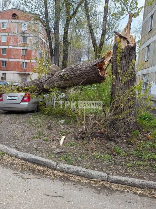 Рухнувшее дерево убило ребёнка в Самаре