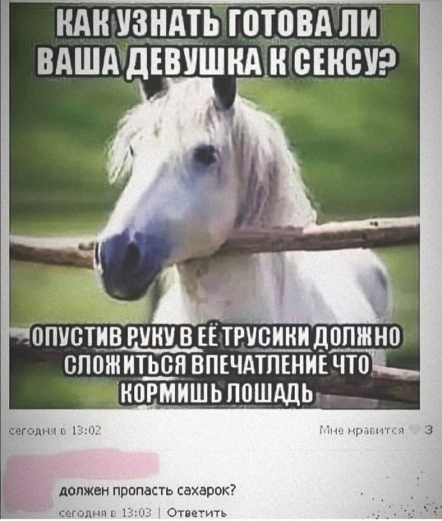 Забавные и не очень скромные картинки - 34