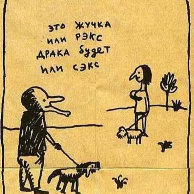 У манула Тимофея из Московского зоопарка появилось три претендентки на "лапу и сердце"