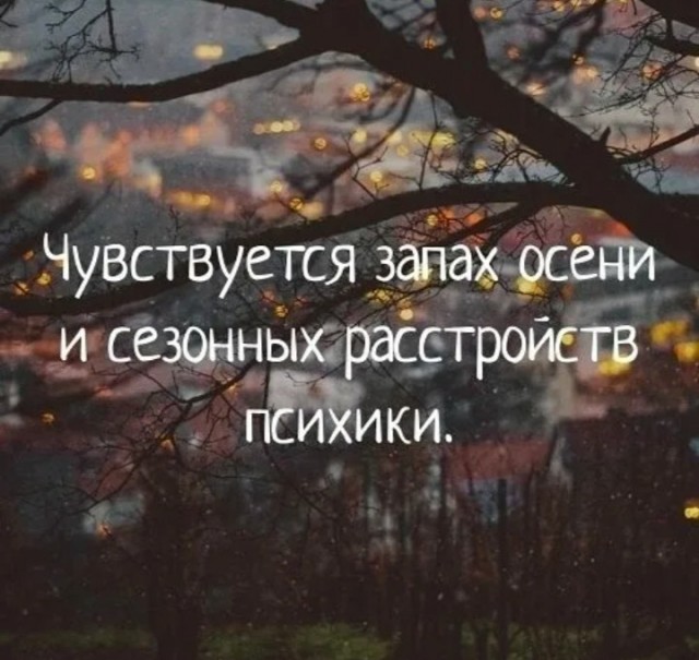 Холостякую и что заметил