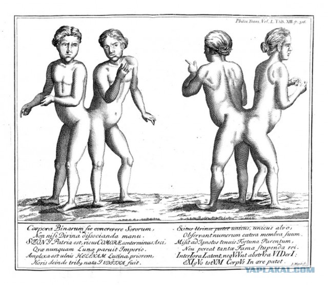 10 любопытных историй