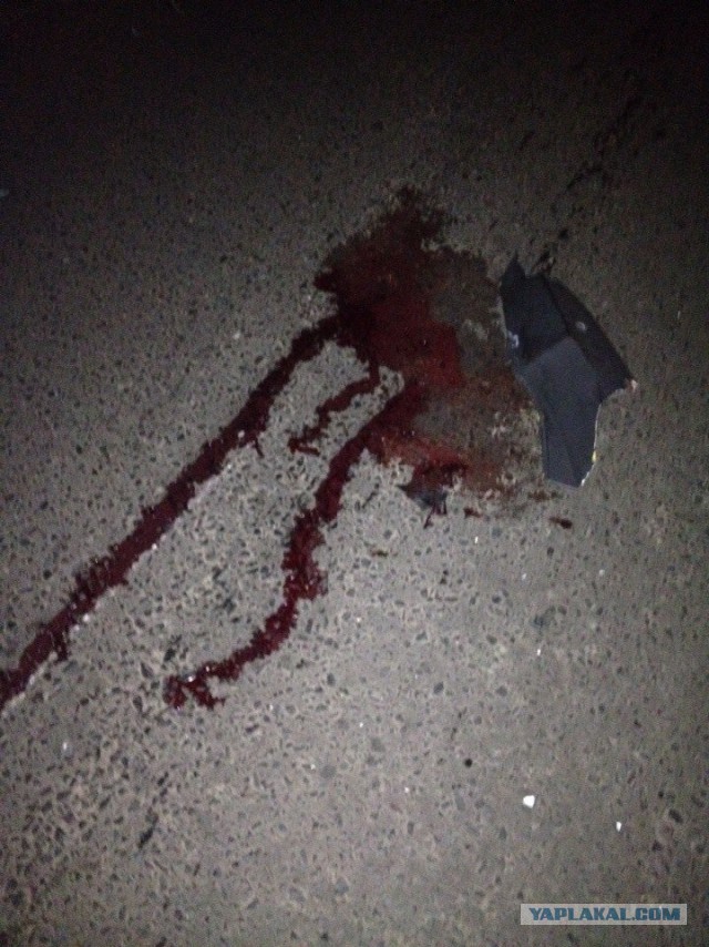 блатные на мерседесе