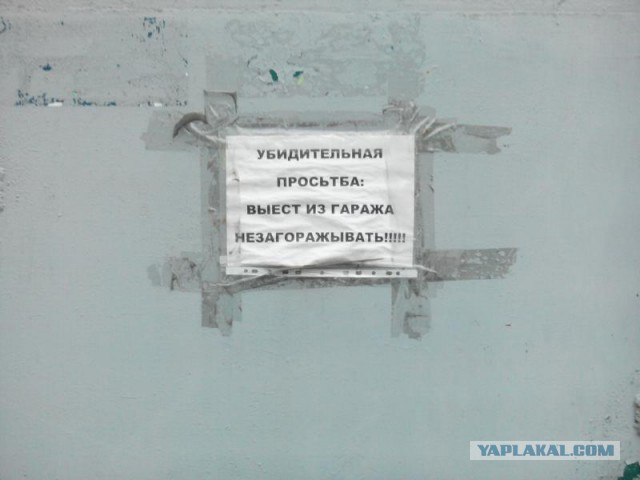 Весёлые картинки