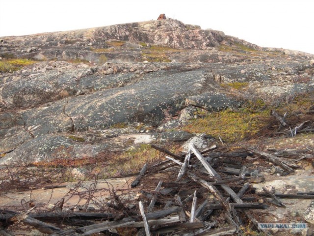 Немного Северной лирики