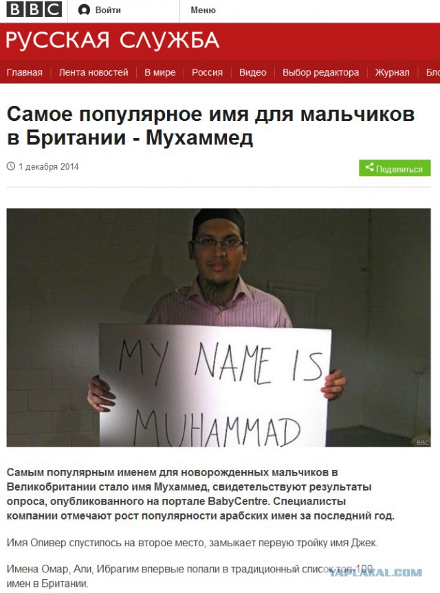О "беженцах" от жителя Германии