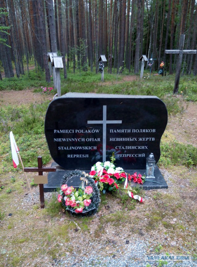 Сезон 2015 в Карелии