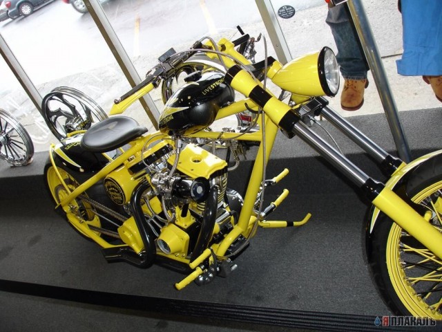 Occ Shop