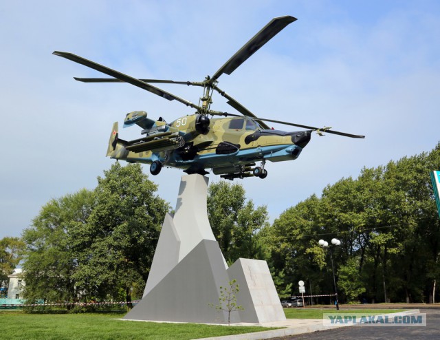 «Чёрная акула» вернулась в родной город