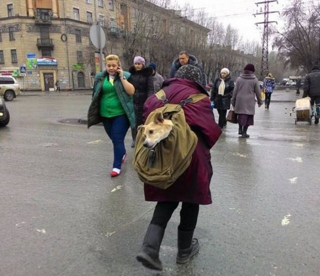 Юмор не для всех