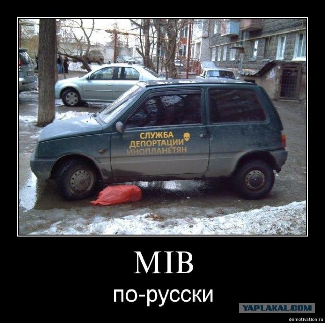 Немного надписей на авто