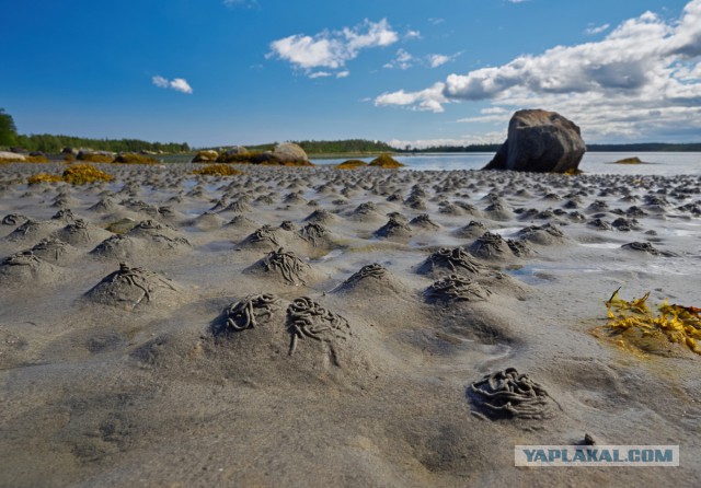 Карелия. Белое море. Немного о рыбалке.