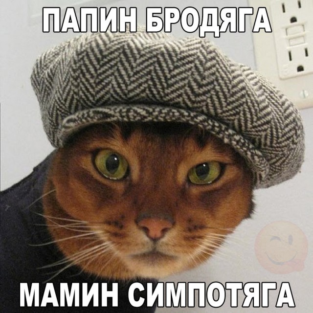 Подборка безудержного веселья
