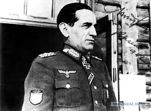 Голубая дивизия