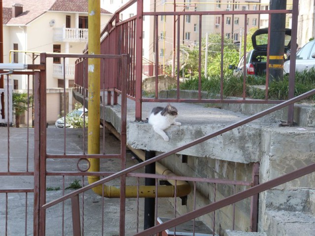 По дороге с облаками