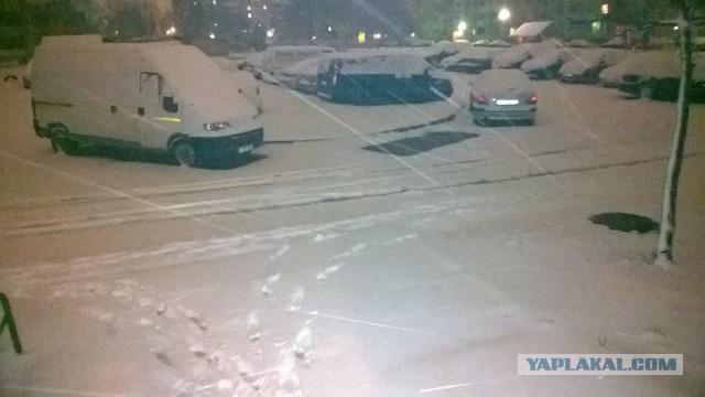 Давно такой погоды не видел в октябре