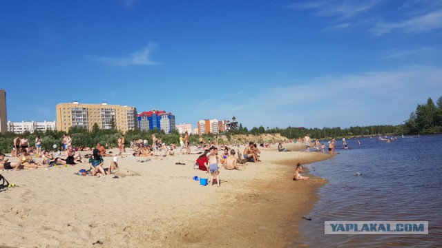Жаркое лето за полярным кругом