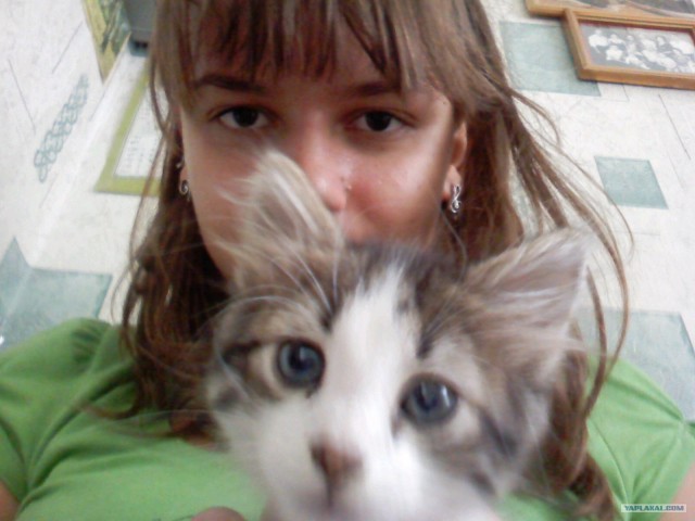 Котовторник на 1-е июня
