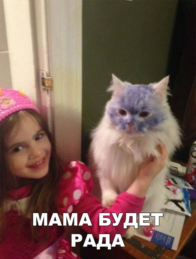Нестандартный юмор