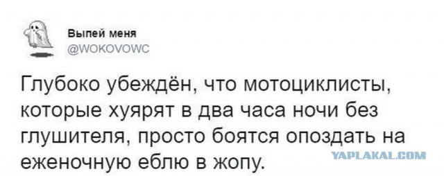 «Ночные волки» остались без президентских миллионов на новогодние елки и мотопробеги