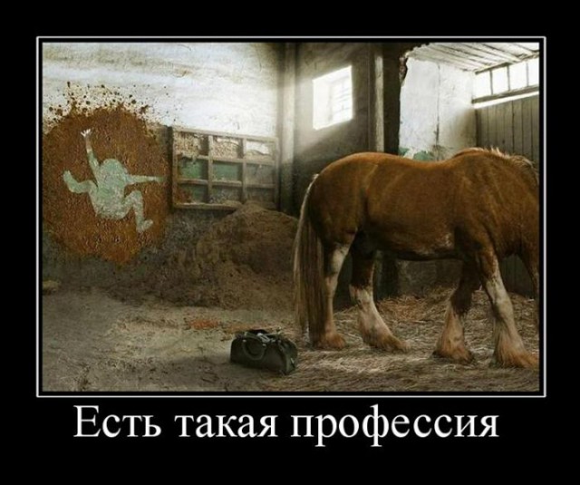 Весёлые и/или жизненные картинки