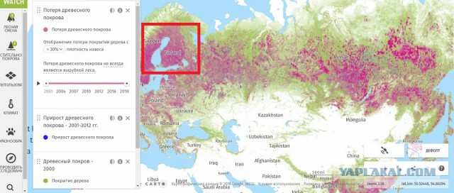 Карта потери древесного покрова России с 2001 по 2019 год