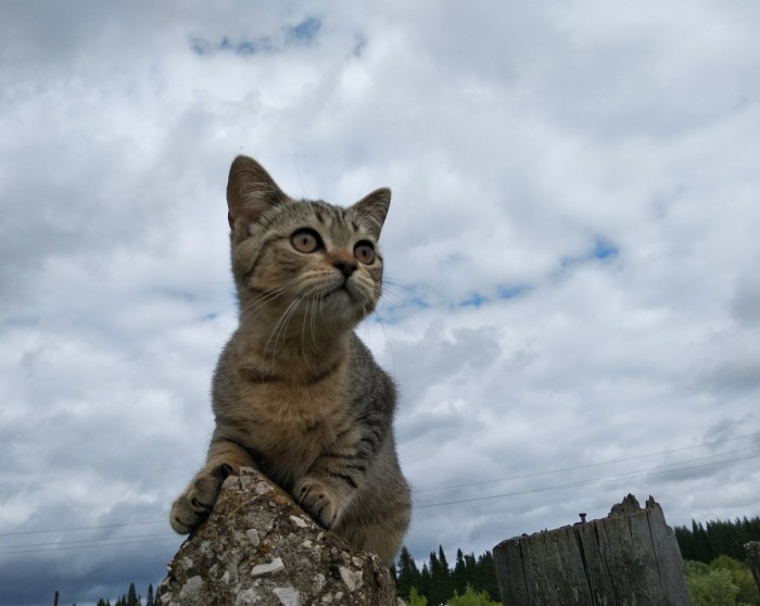 Сам себе фотограф