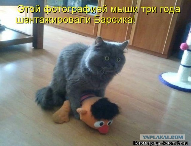 Нашел женщину без комплексов. Последствия