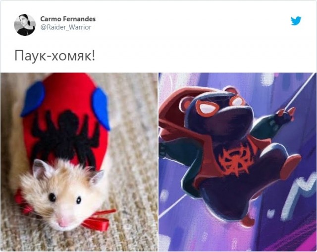 Хомяк сбежал из клетки, а затем взобрался на стену как Человек-паук. И растяжка не хуже, чем у Ван Дамма
