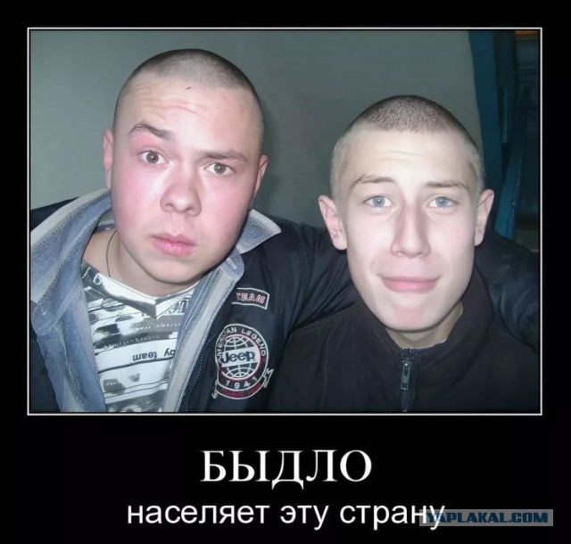 Чудики из социальных сетей 29.05.21