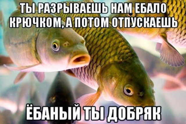 Не падайте духом