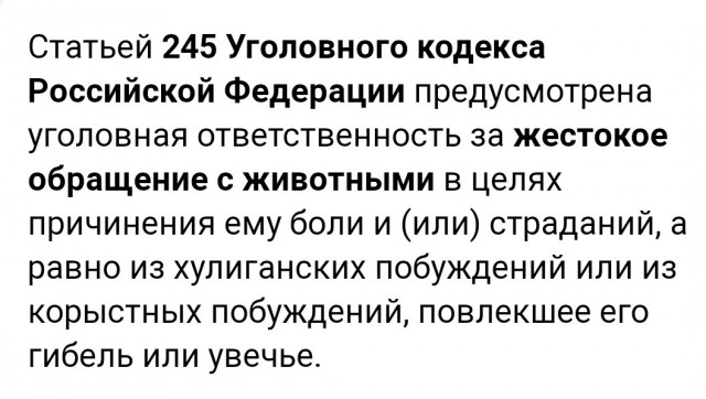Как такая милая собака может навредить ? Порода то вовсе не агрессивная