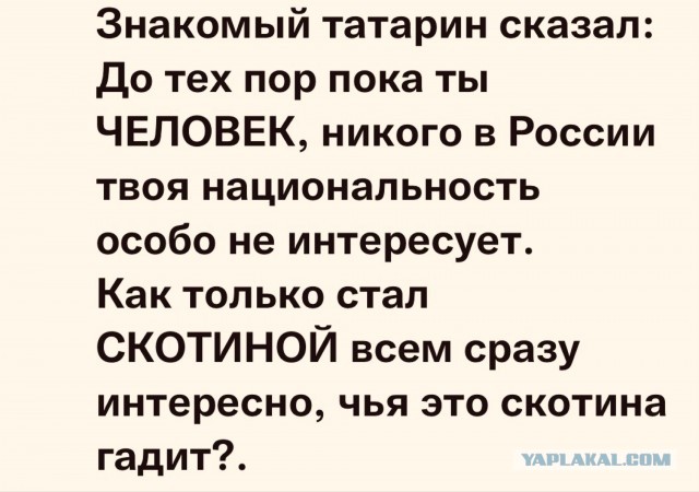 Мигранты пытаются прорваться в Польшу через польско-белорусскую границу — пограничники отражают атаку, слышны выстрелы
