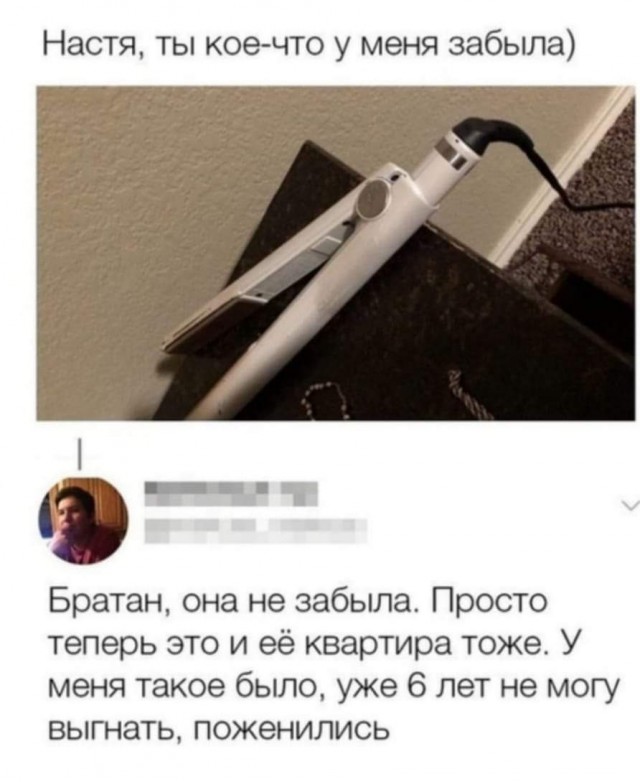 Всяческие картинки 24.11.2021