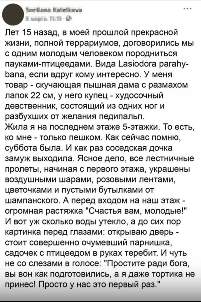 Забавные комментарии из социальных сетей (13.12.21)