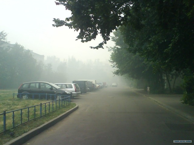 Москва "сырокопченая"