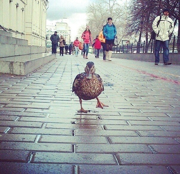 Так себе картинки 22.01.22